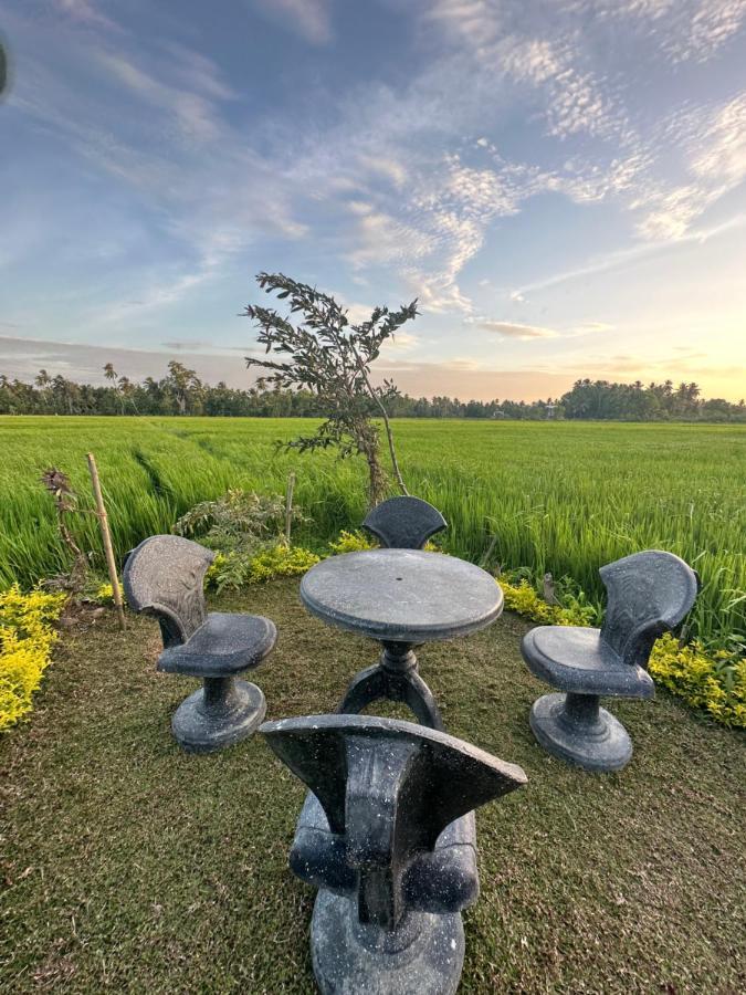 Viveka Inn Guest&Yala Safari Tissamaharama Exteriör bild