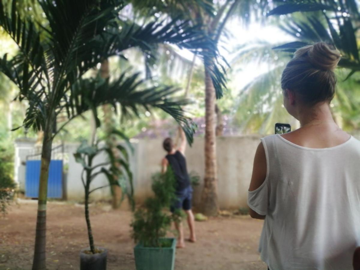 Viveka Inn Guest&Yala Safari Tissamaharama Exteriör bild